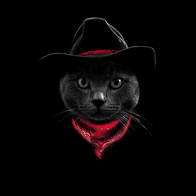 Кот в бандане