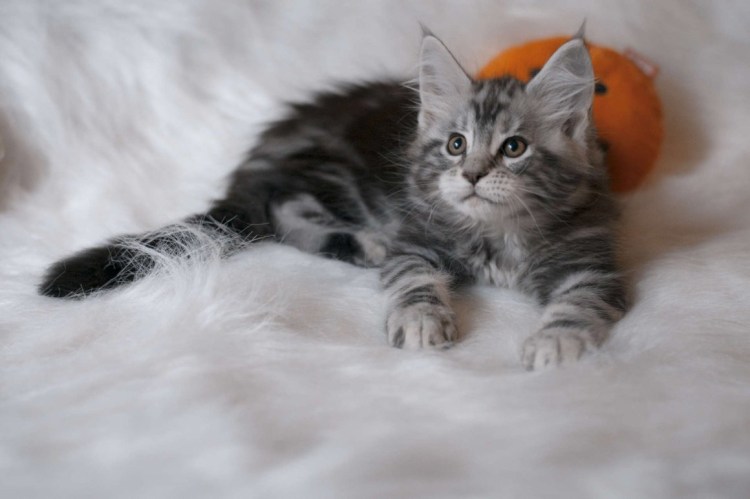 Черный мрамор