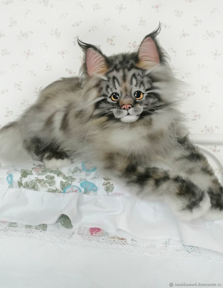 Котята Мейн кун мраморного окраса