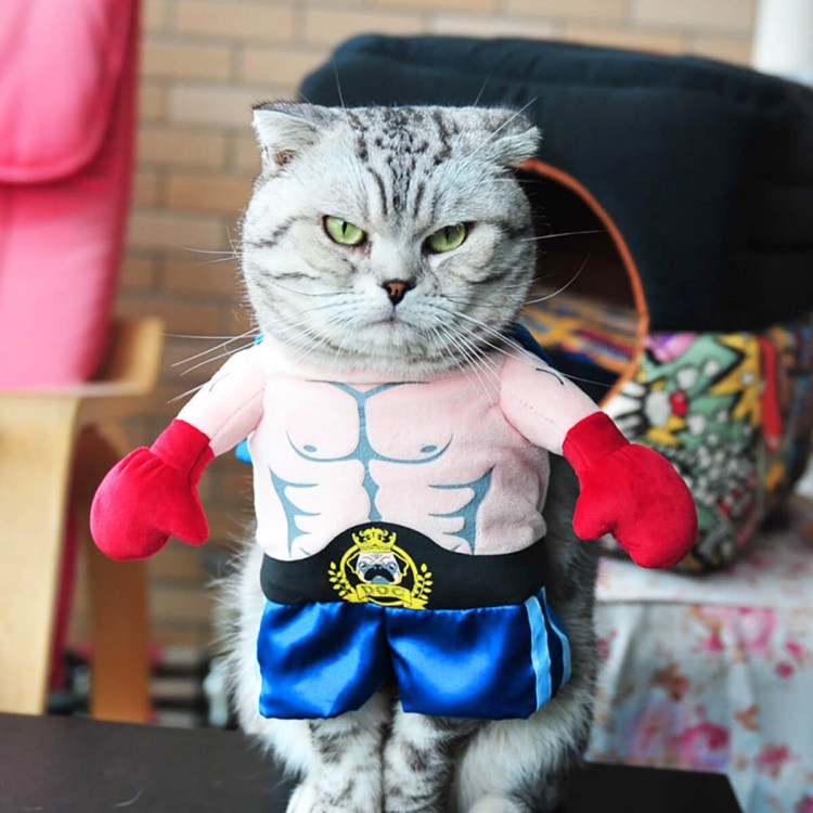 Костюм кошки