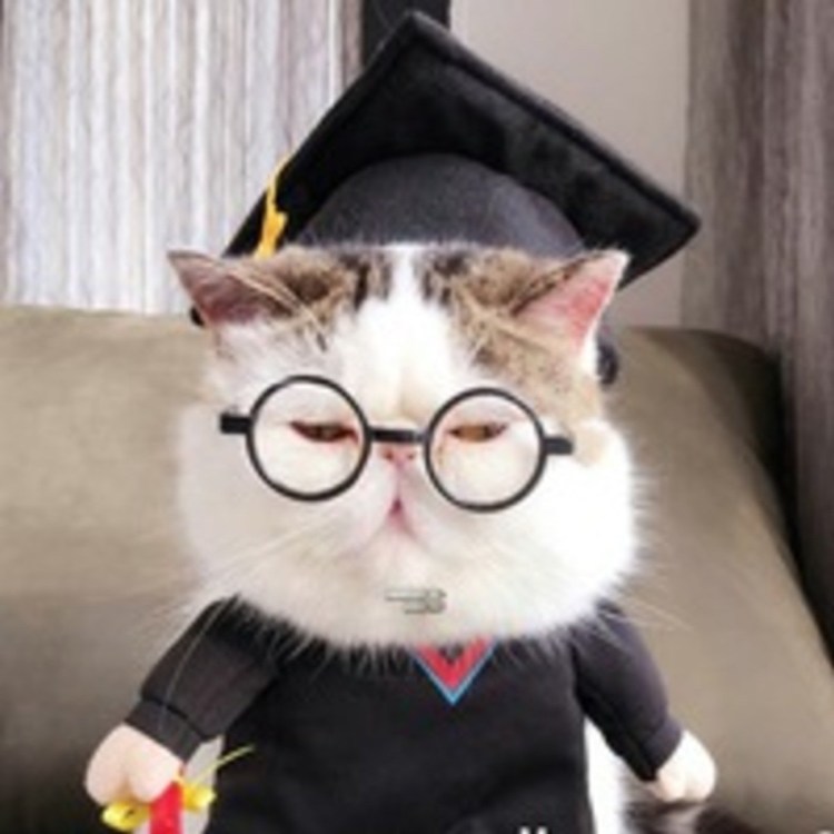 Милые котики