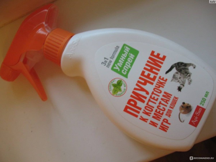 Защита от погрызов и царапания для кошек