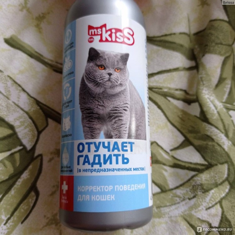 Средство отпугивающее кошек гадить