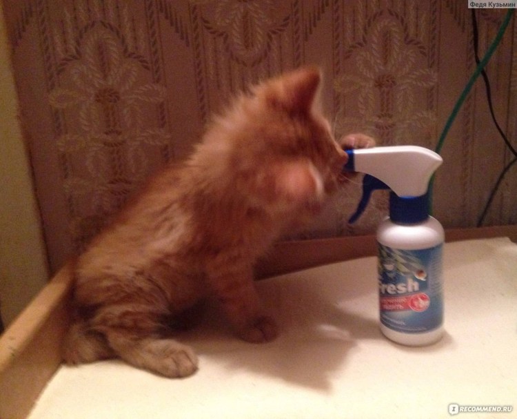 Спрей "БИОВАКС" Д/кошек 180мл "мое место!"