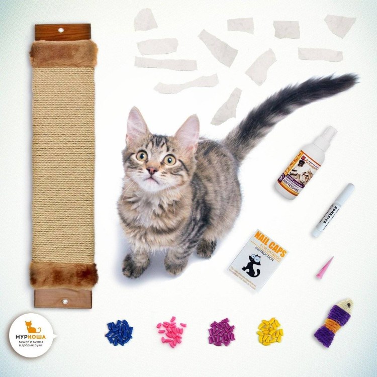 Спрей Mr.Bruno отучает гадить для собак 200 мл