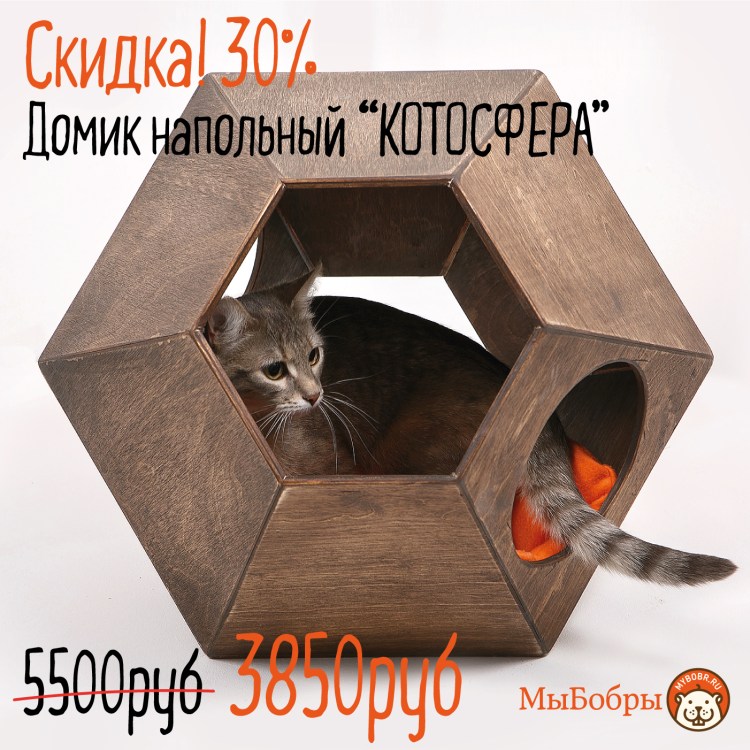 Домик для кота дизайнерский