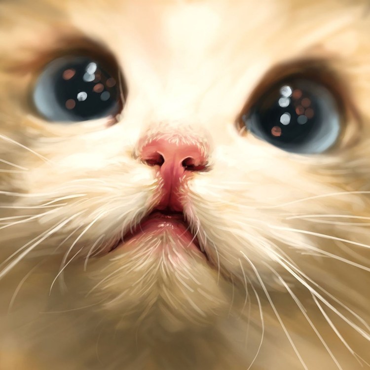 Кот в сапогах Шрек