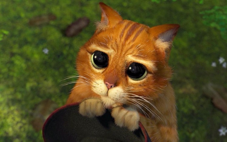 Кот из мультфильма Шрек