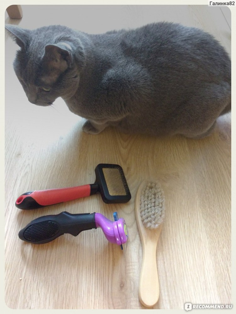 Вычесывать кошек фурминатор