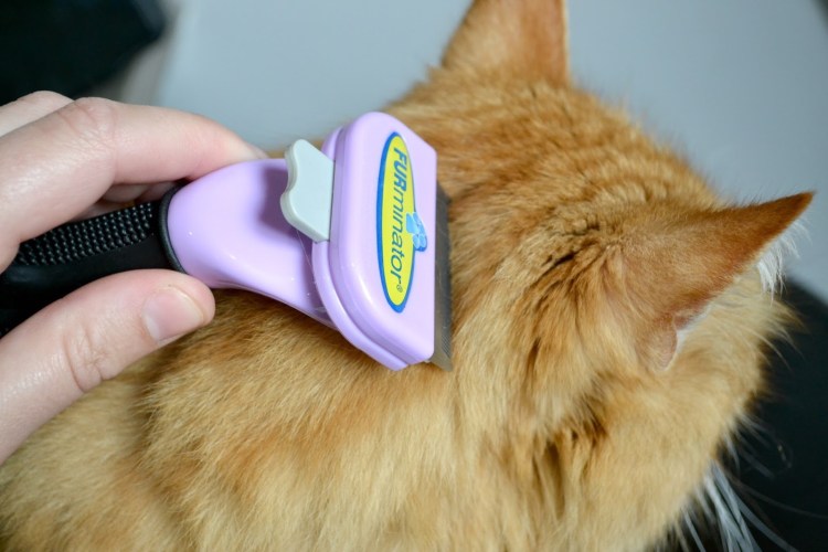 Инструмент для вычесывания шерсти кошек и собак