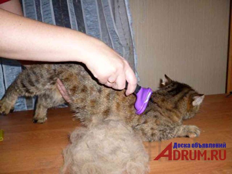 Для вычесывания шерсти у кошек фурминатор