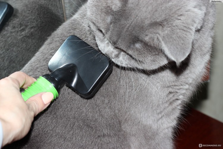 Для вычесывания кошек фурминатор
