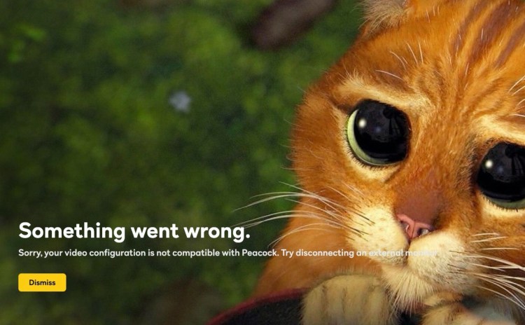 Жалобный кот