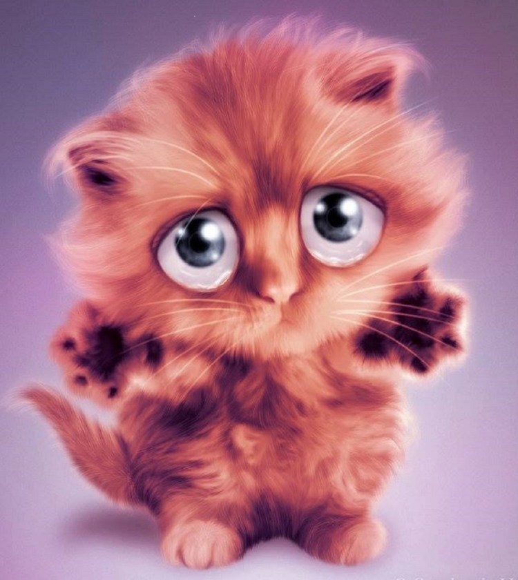 Няшные котята