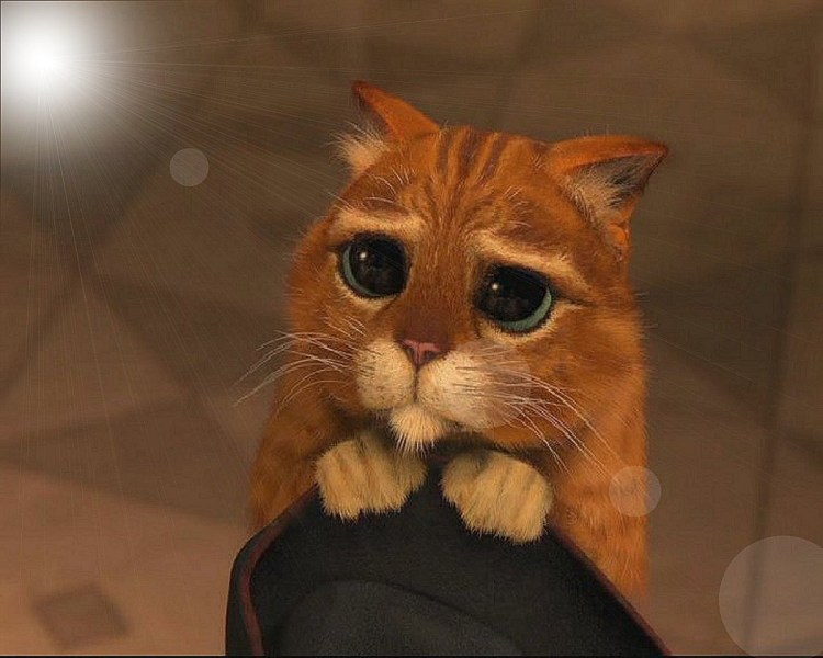 Кот из Шрека глаза