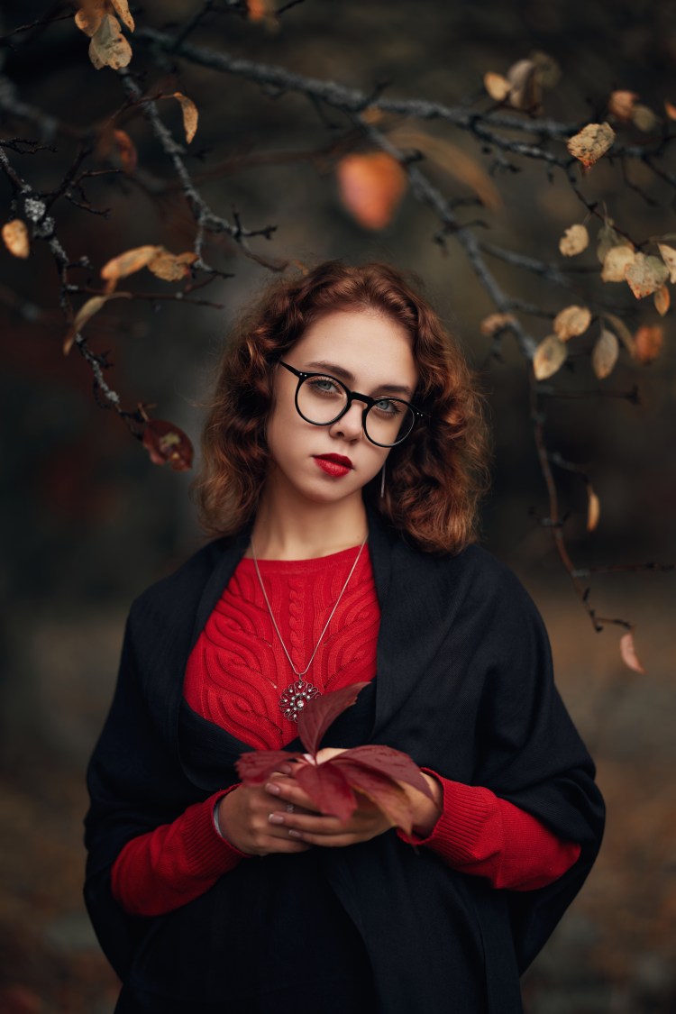 Коты в движении