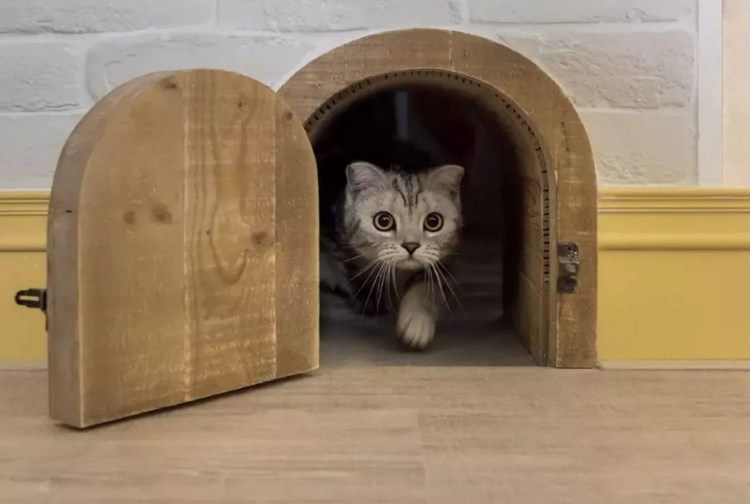 Дверца Staywell Magnetic Deluxe