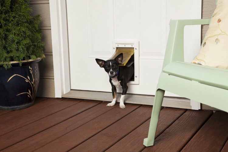 Pet Inn туалет закрытый easy Cat / серый д/кошки с дверцей + совок (54*40*40см)