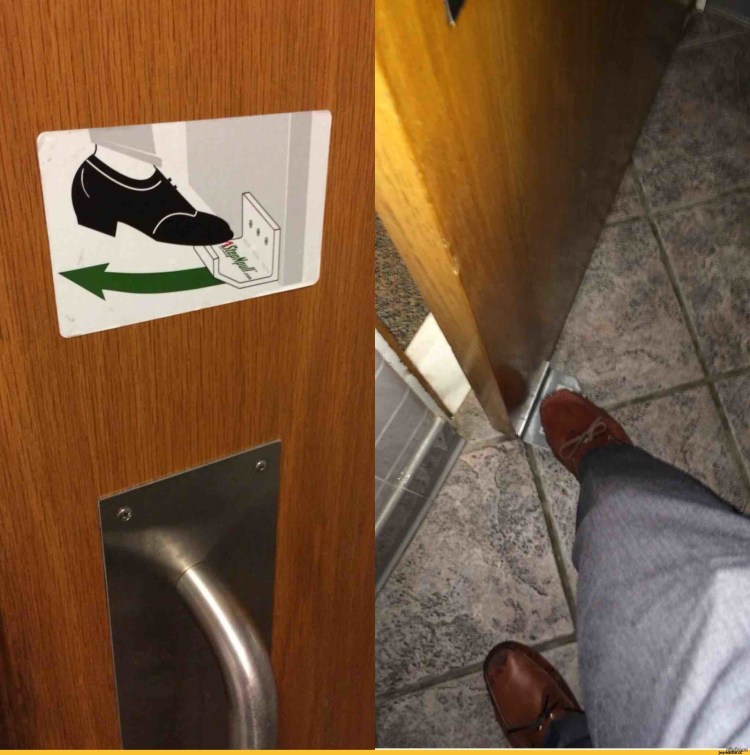 У кота туалет в туалете чтоб дверь не закрывалась