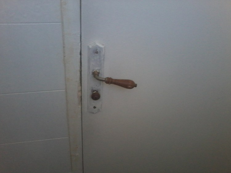 Дверь для кошки