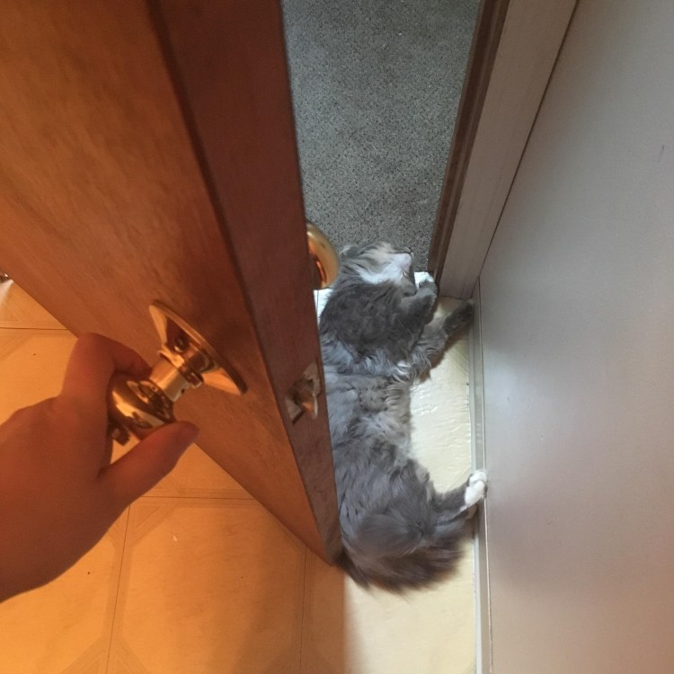 Лайфхаки для дверных ручек