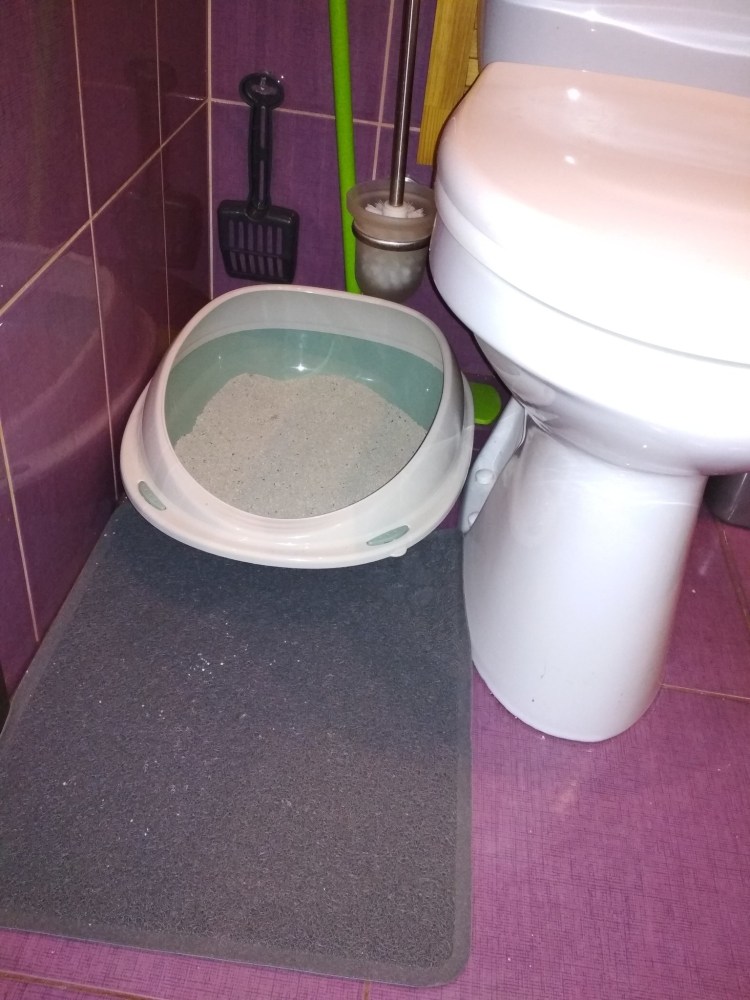 Не закрылась в туалете