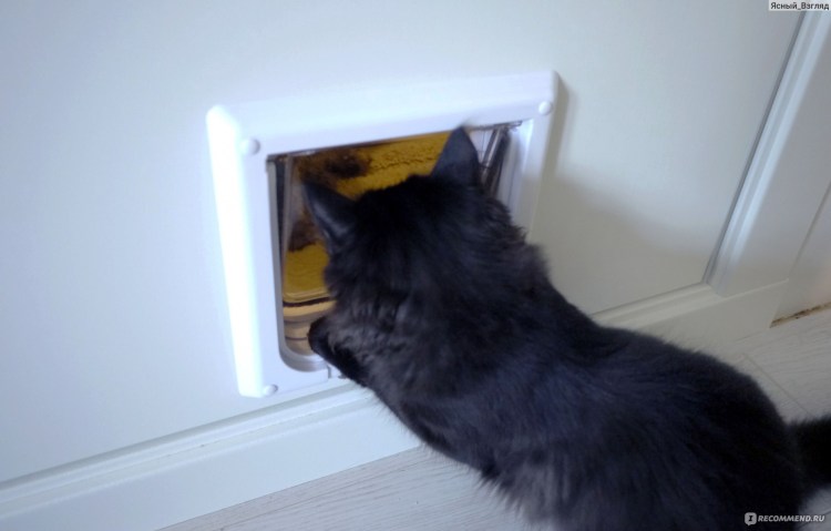 Магнит на холодильник застрявший кот