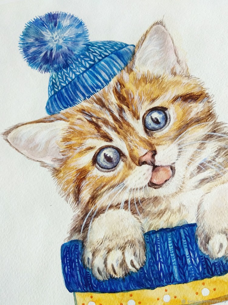 Maria van Bruggen смешные коты