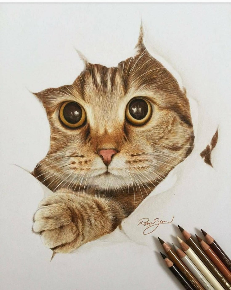 Котик рисунок