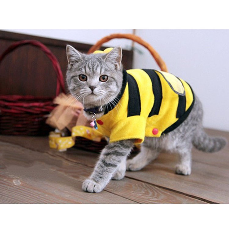 Одежда для кошек