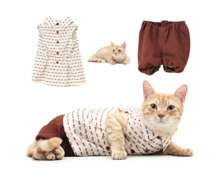Костюмчики для кошек