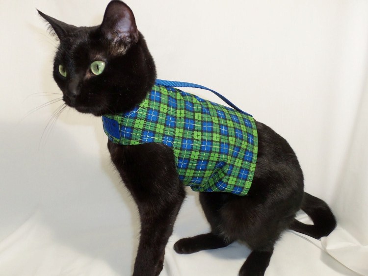 Зимняя одежда для котов