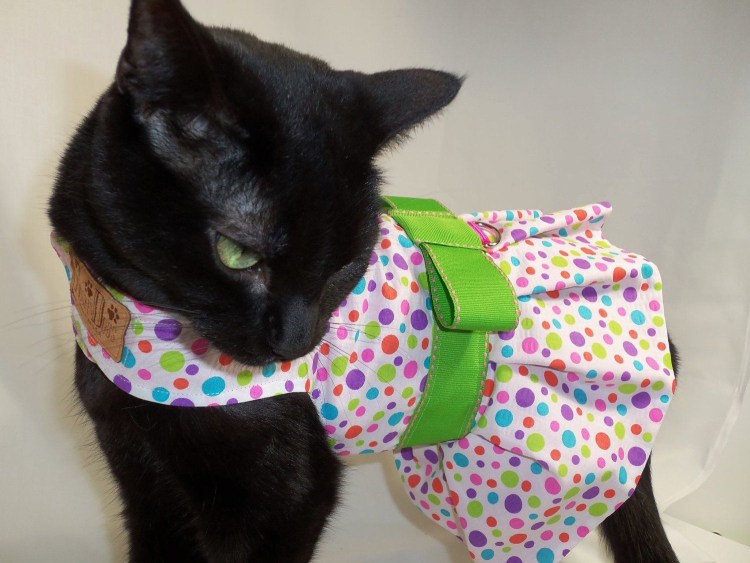 Одежда для кошек