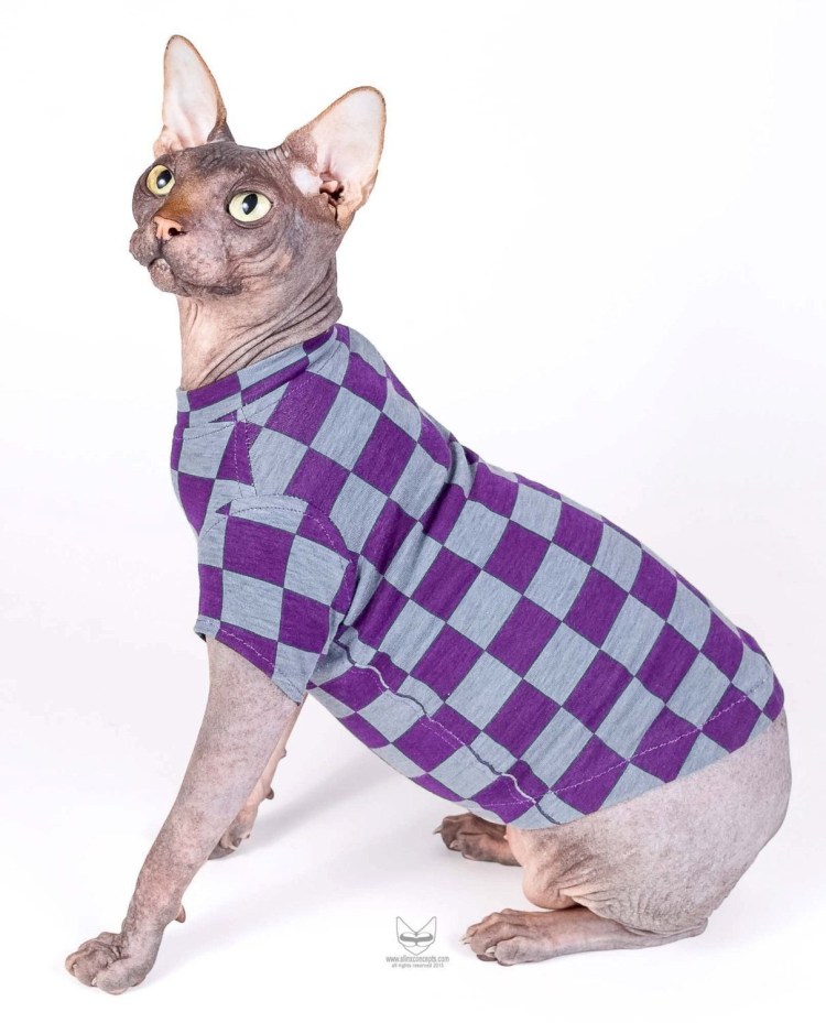 Маскарадные костюмы для котов