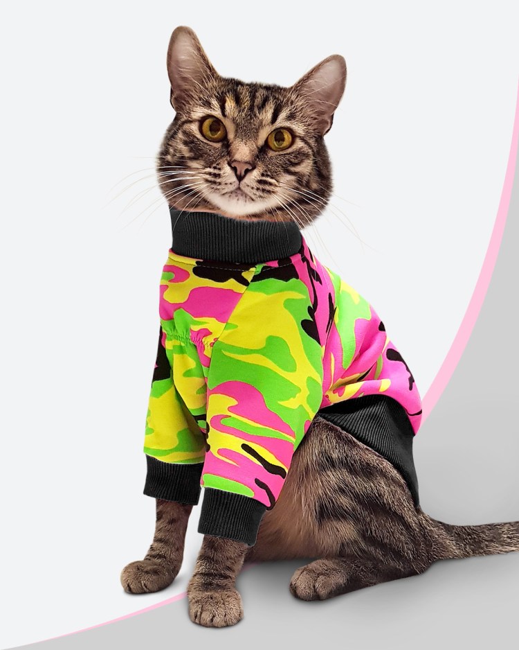 Кот в пуховике