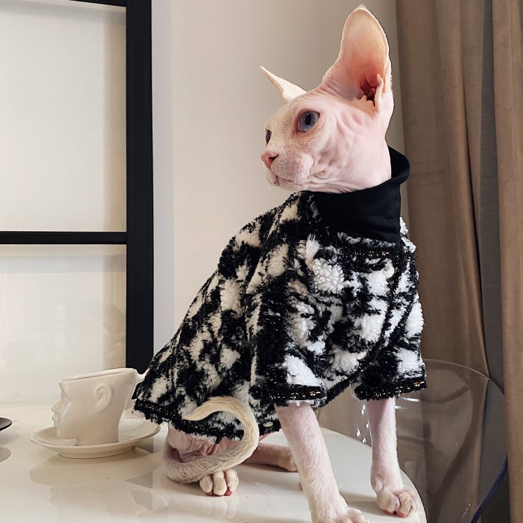 Одежда для кошек