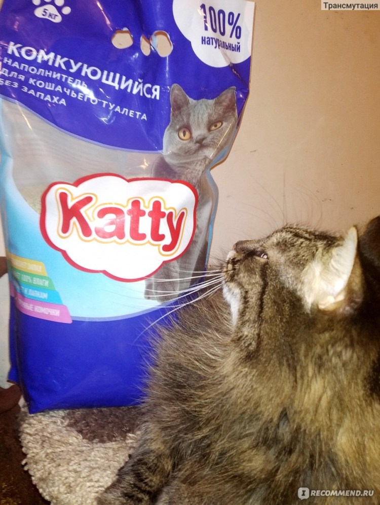 Наполнитель для кошачьего туалета Katty гигиенический, комкующийся