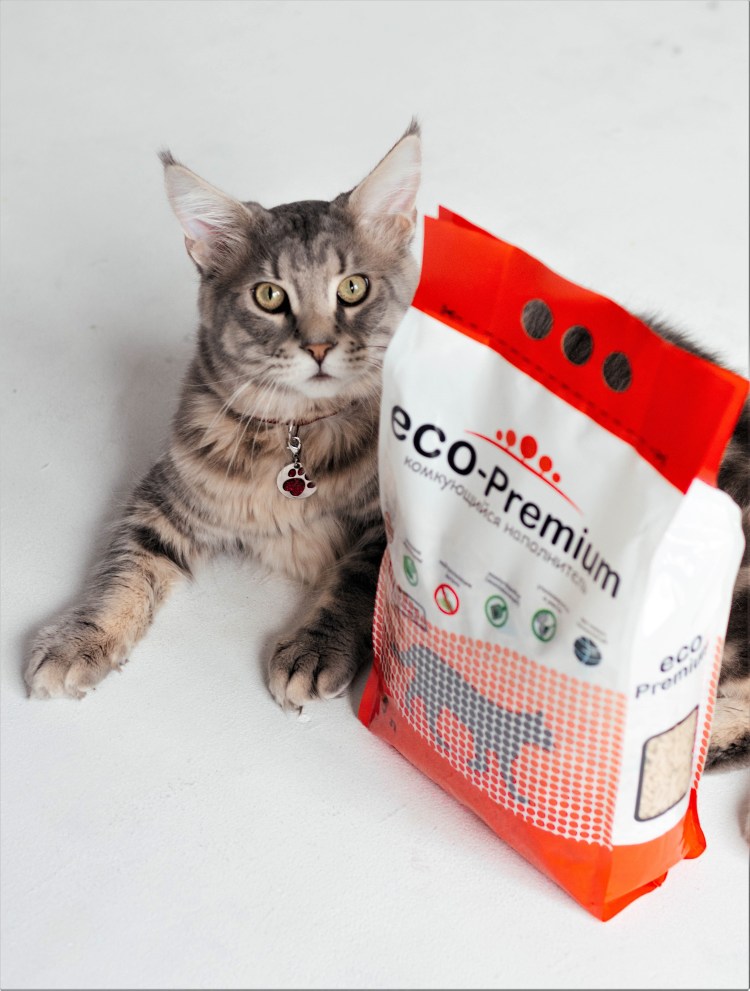 Наполнитель для кошачьего туалета комкующийся