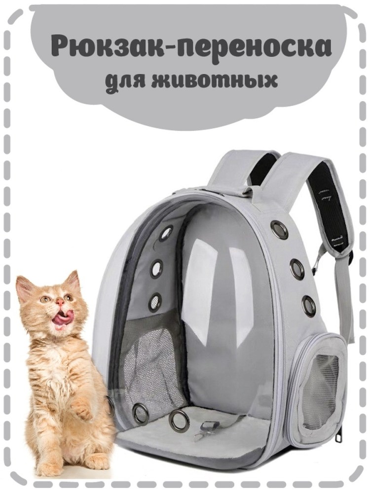 Рюкзачок переноска прозрачный