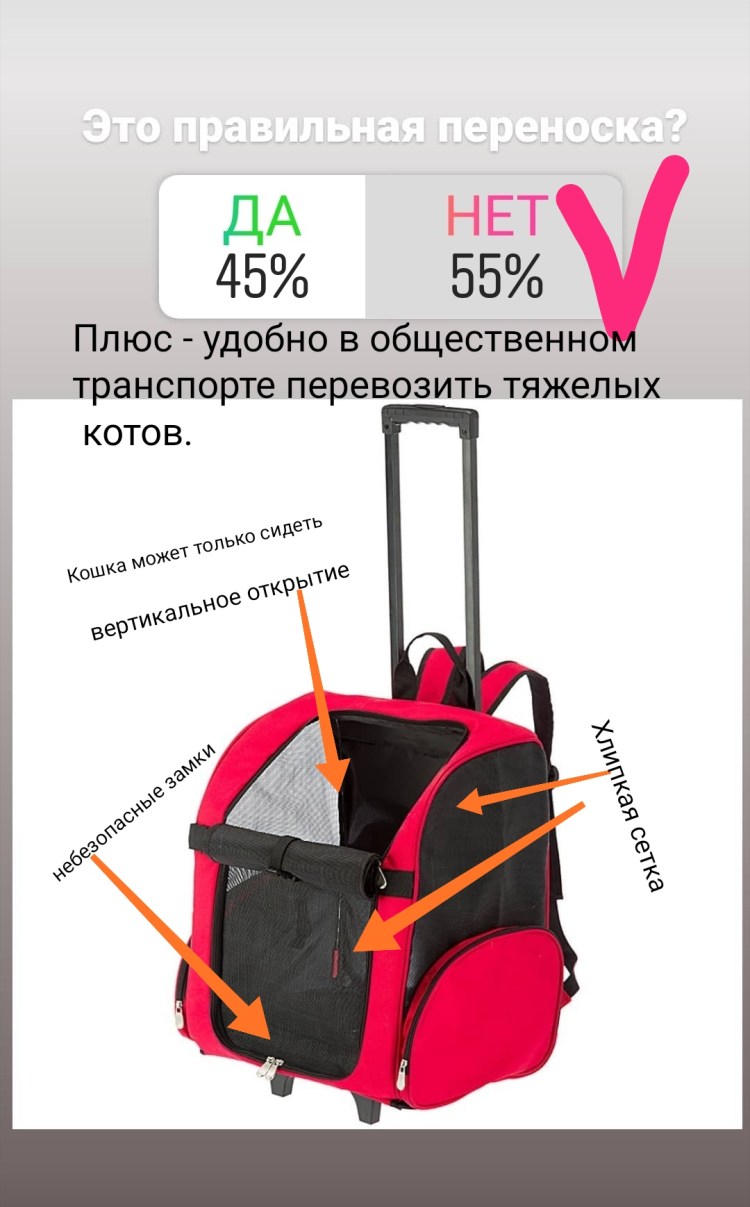 Как правильно измерить переноску для кошки
