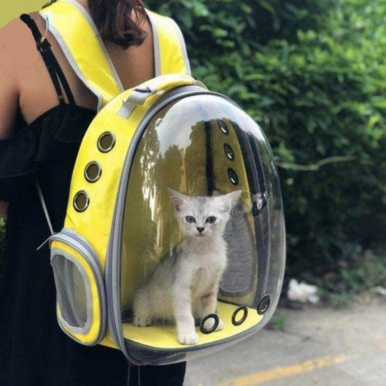Рюкзак скафандр для кота