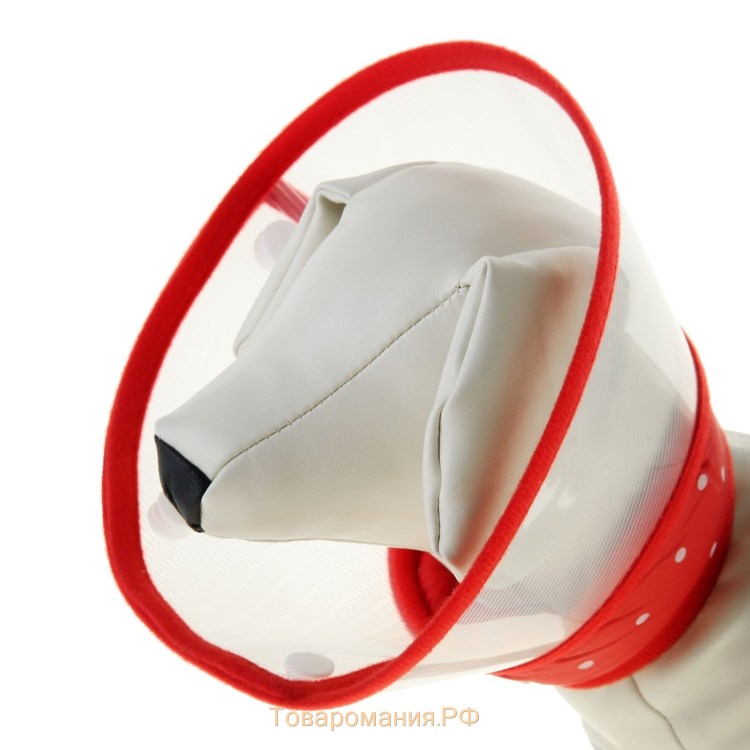 Защитный воротник dogcare