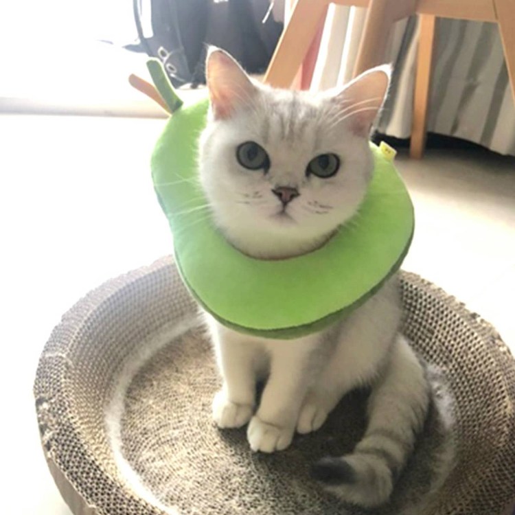Воротник для кошки