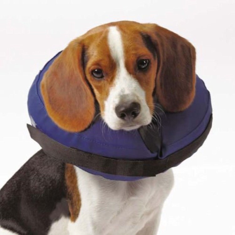 Защитный воротник Kruuse Buster clic Collar 25 см