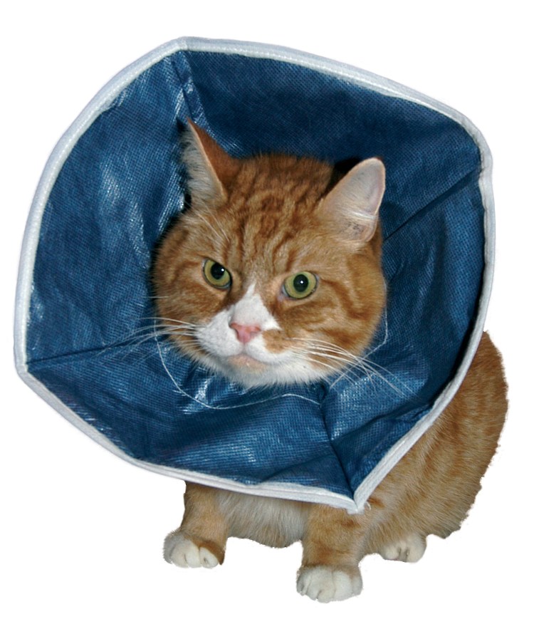 Защитный воротник Kruuse Buster clic Collar 10 см