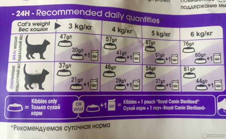 Роял Канин для котят норма кормления