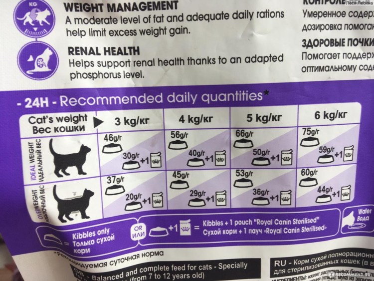 Royal Canin Kitten норма кормления