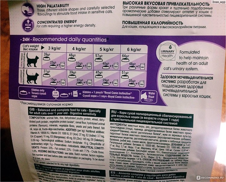 Нормы кормления собак сухим кормом Роял Канин