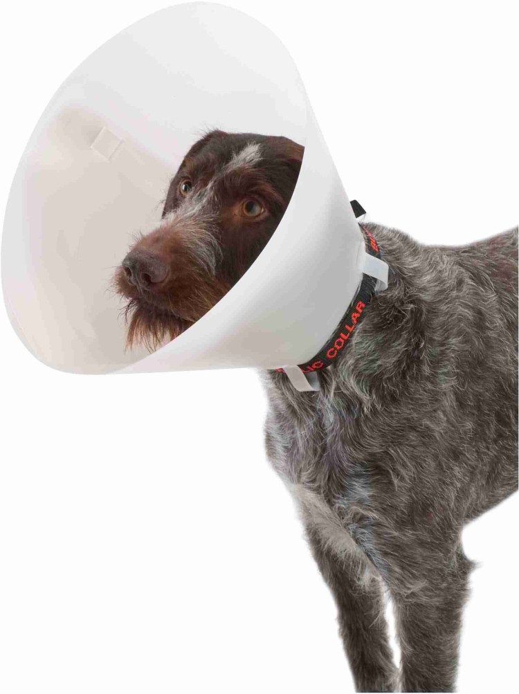 Защитный воротник Kruuse Buster clic Collar 30 см