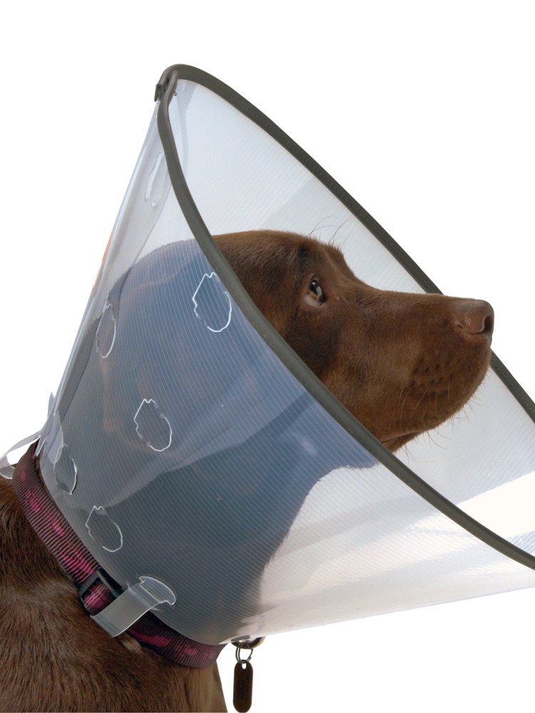 Защитный воротник Kruuse Buster clic Collar 25 см